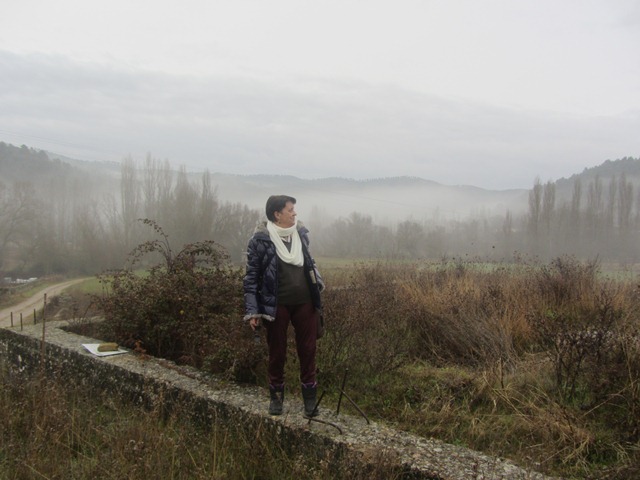 Carmen en la niebla