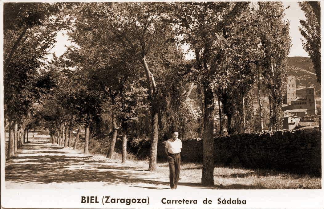 CARRETERA DE SADABA. LLANO. REGUELTICA A PICARIZA.
