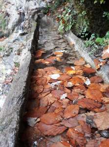 45992140_192717491631564_5608068987435876352_n