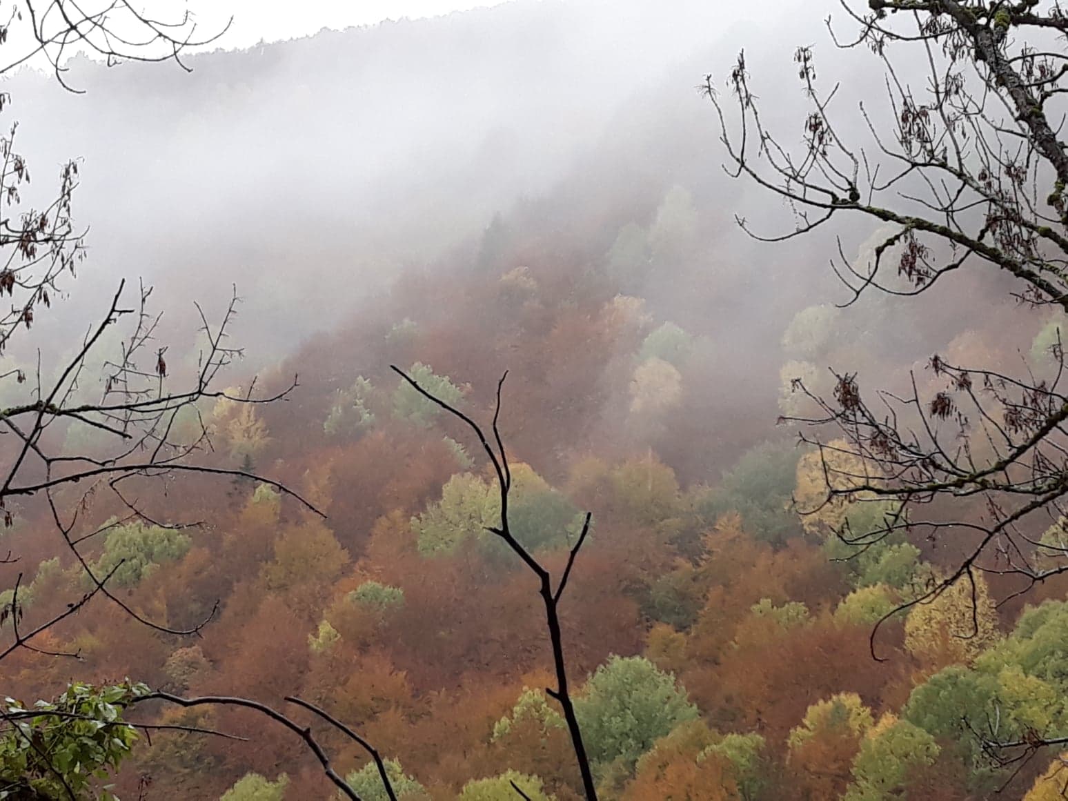 46039356_193350151551207_3348834203109163008_n