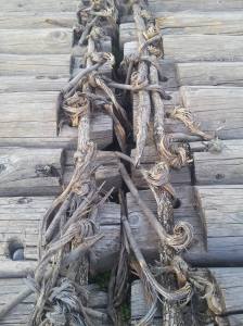 Tronco de una navata