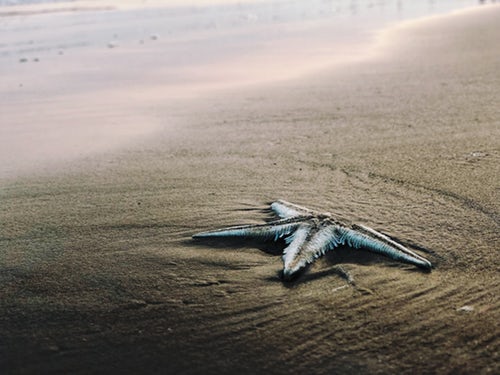 photo-1549188391-c088d1f4bf77