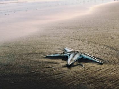 photo-1549188391-c088d1f4bf77