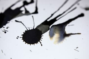 adrien-converse-LizJLosK7Ek-unsplash