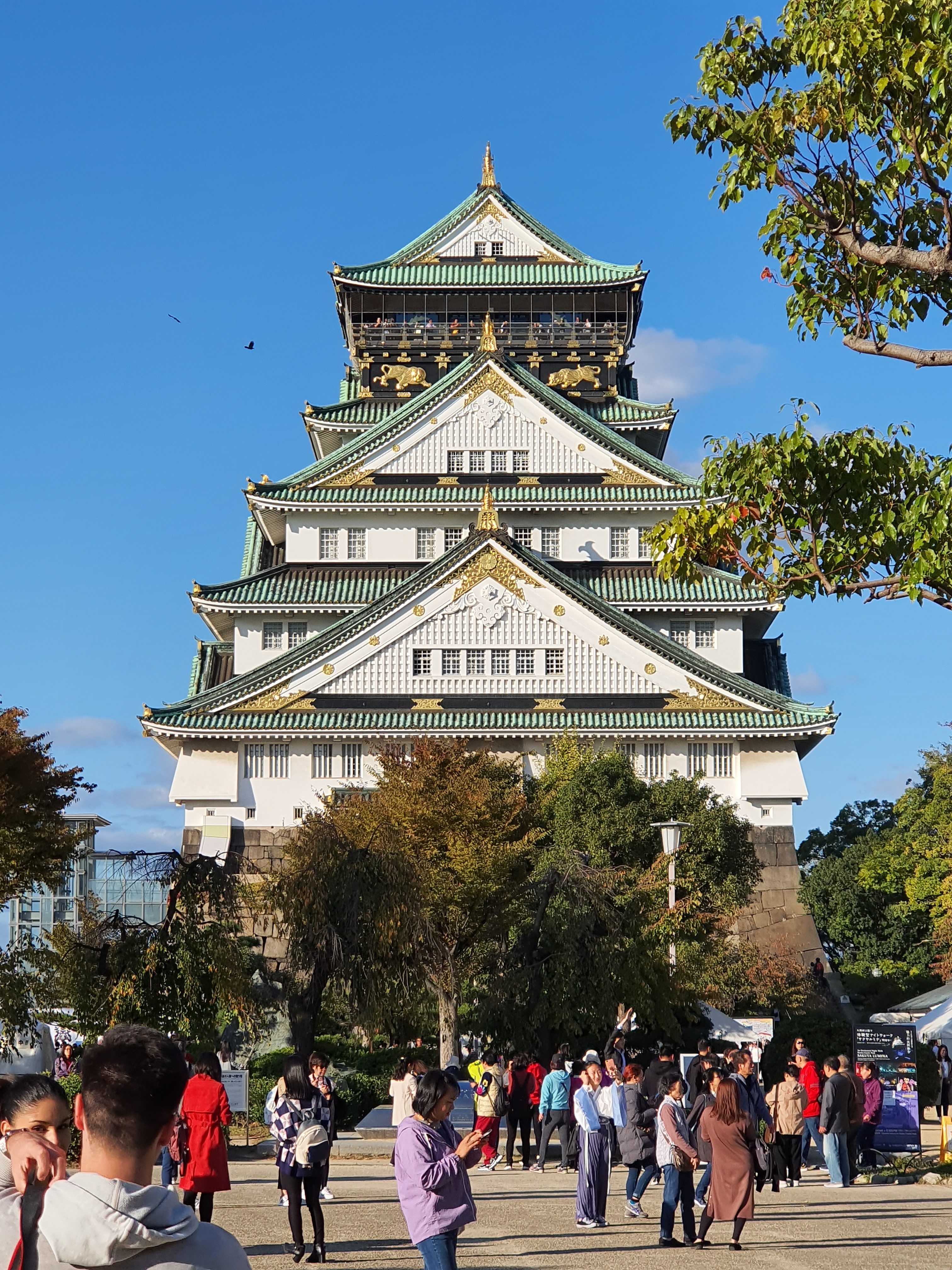 20191104_152039 - copia