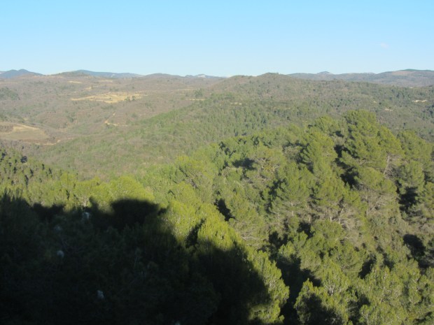 WhatsApp Image 2020-05-01 at 17.18.07