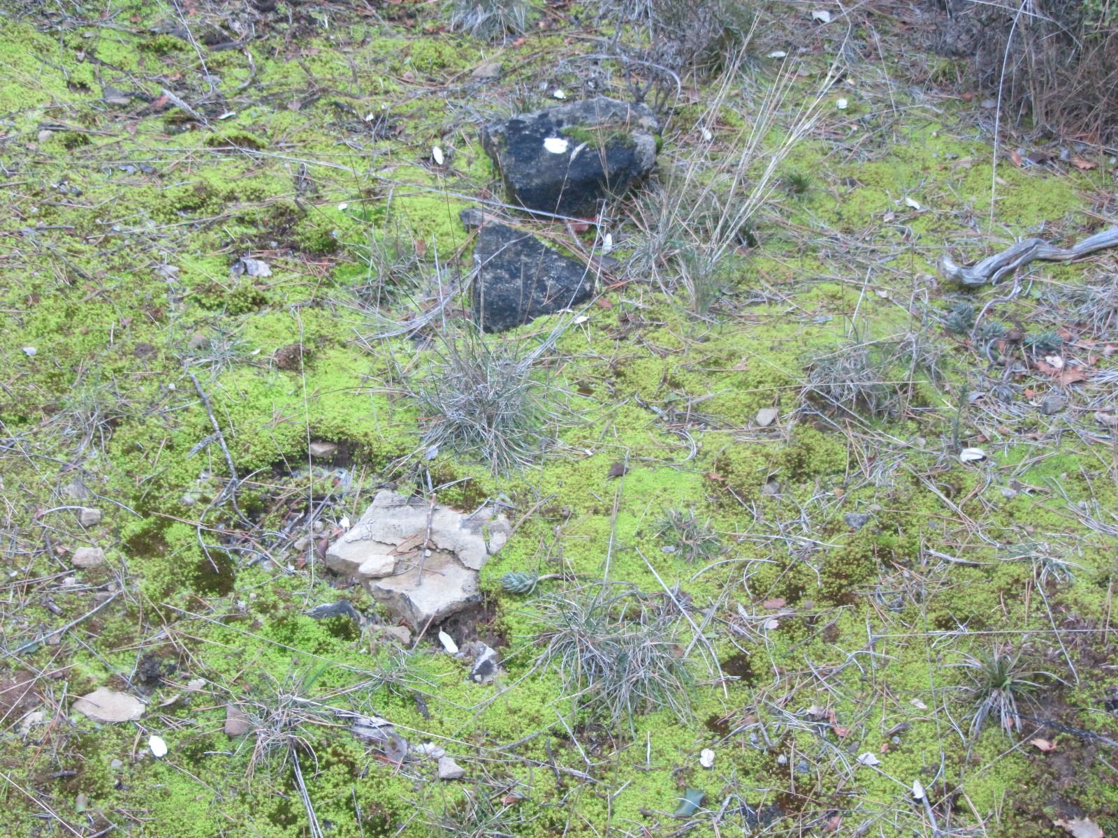 WhatsApp Image 2020-05-01 at 17.21.10